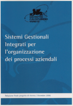 Sistemi gestionali integrati per l’organizzazione dei processi aziendali